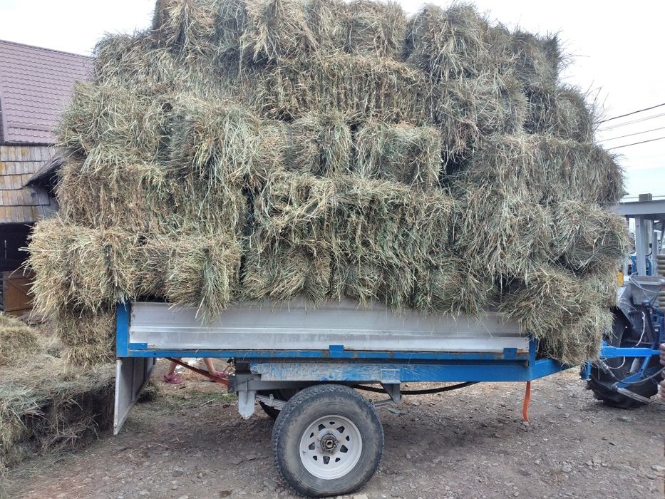 Baloți de otavă si lucerna de vânzare