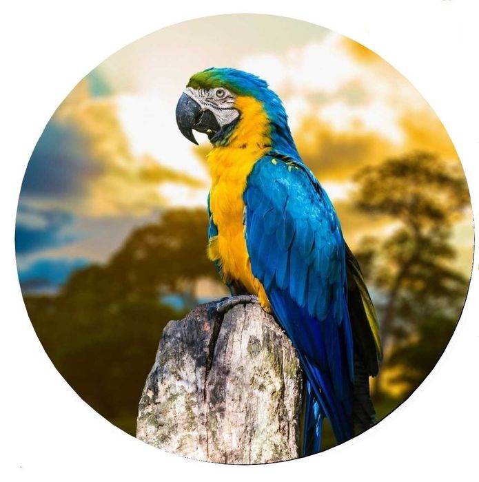 Калъф За Резервна Гума На Джип Патица Орел Бекас Фазан