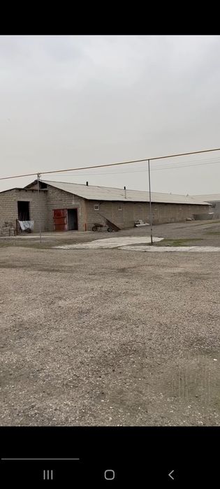 1 гектар 60соток Верхнечирчикский райн  Болта