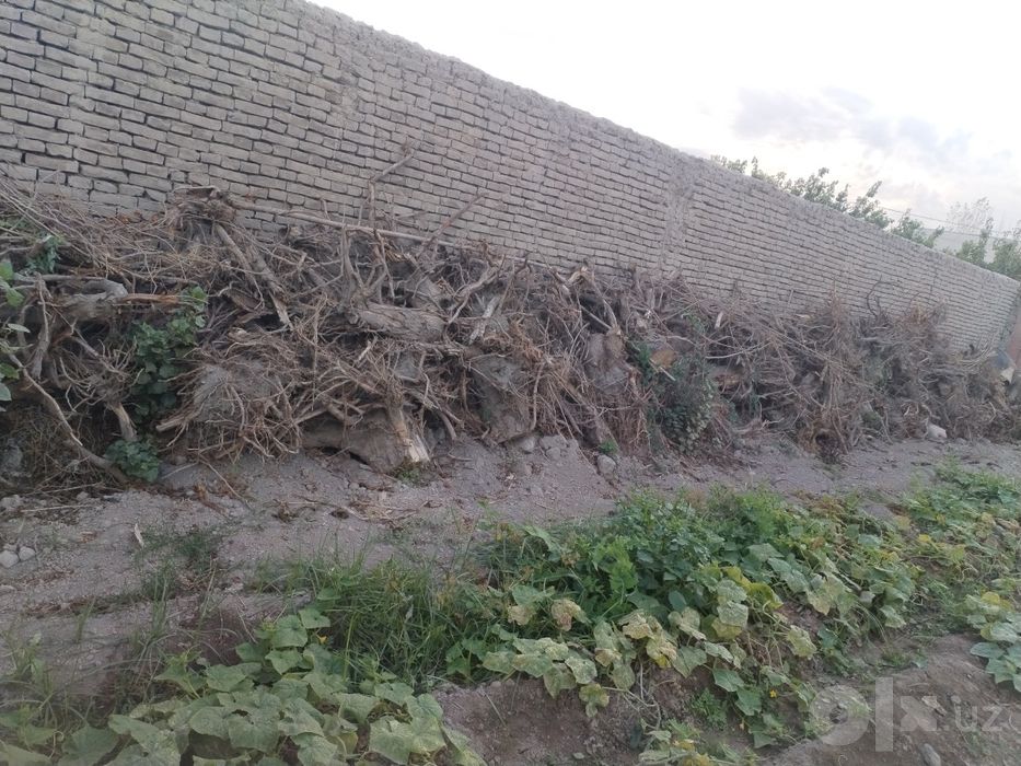 Аолвшвшвшшцшсшалв