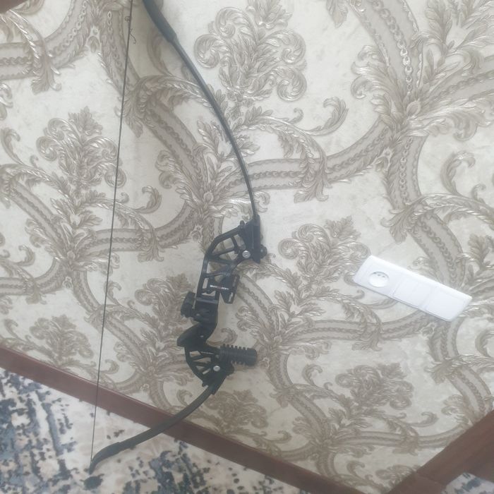Kamon 5ta o'qi bilan