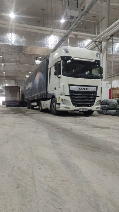 Daf FX 480 +pritsepi bn