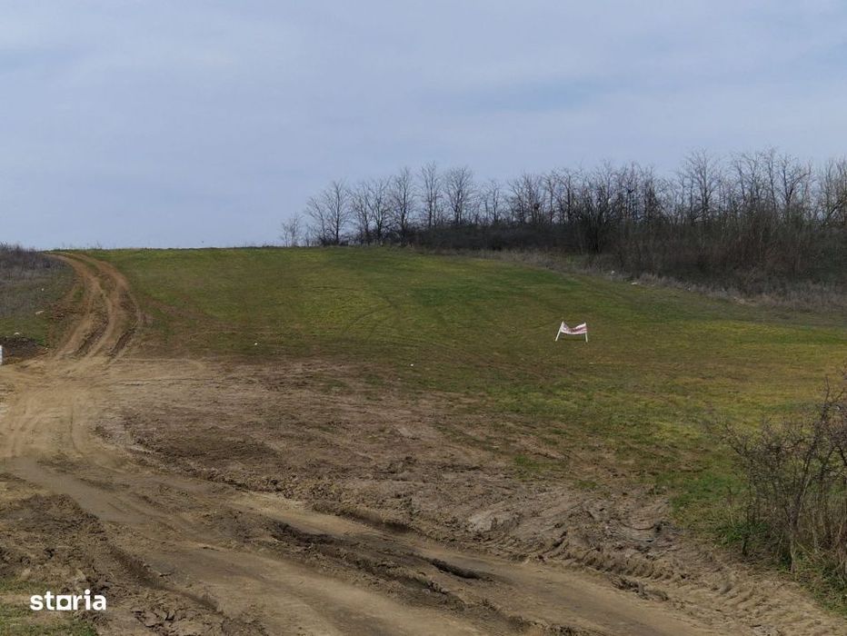 Teren intravilan de vanzare 6050 mp – Lesile