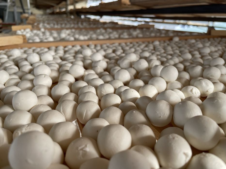 100% ishimizga javob beramiz