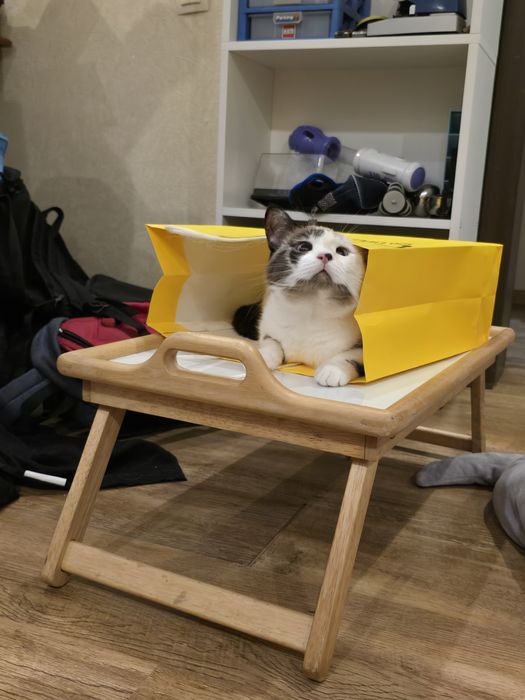 Столик, чтобы есть на кровати