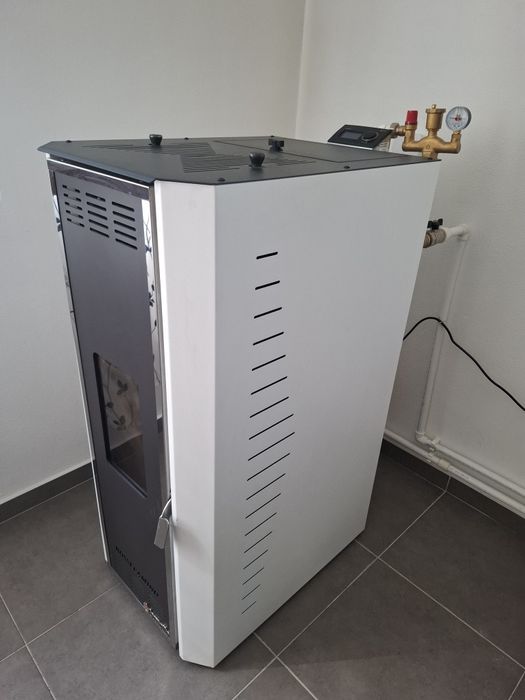 Termosemineu peleti