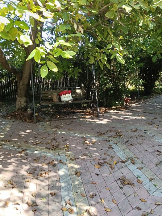 Casa Comuna Gruiu, Sat Lipia