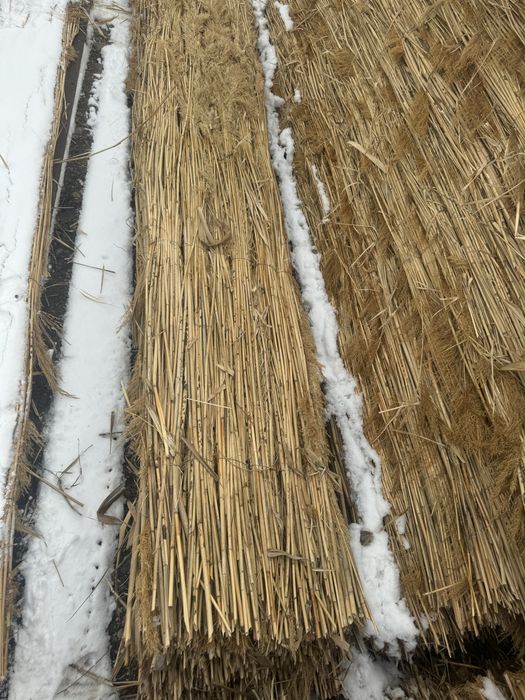 Қамыс, Маты сатылады,