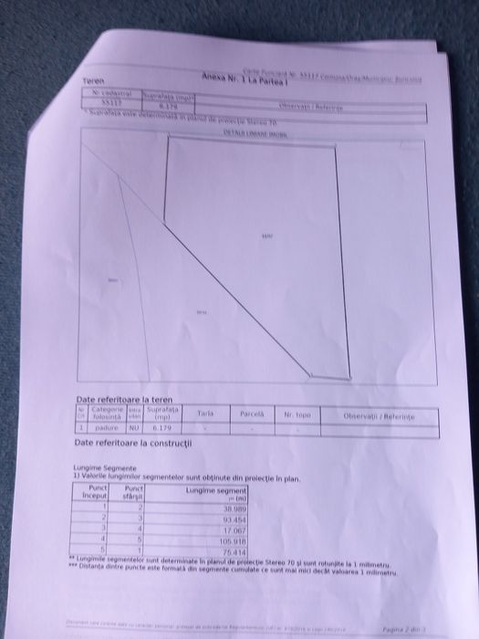 PADURE  Fag 80-100 ANI