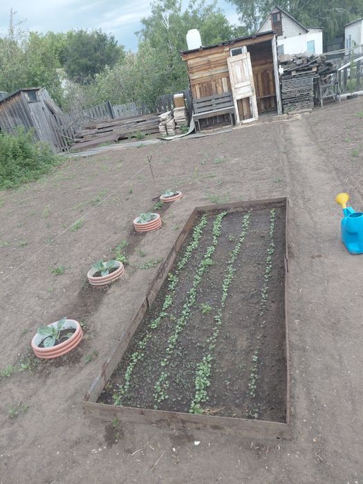 Дача оптимисте павлодарская трасса