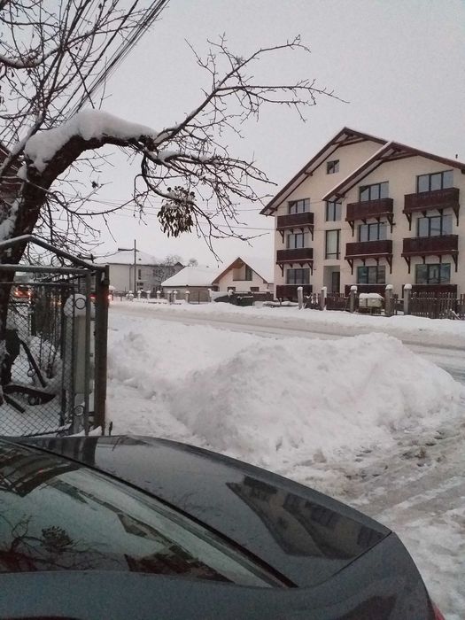 Dau in chirie apartament in Seini