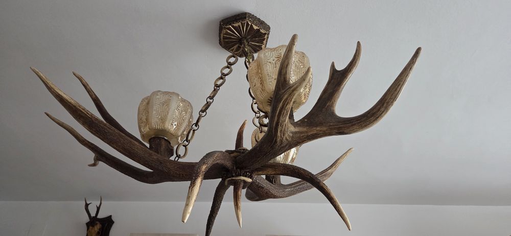 Candelabru din coarne naturale de cerb