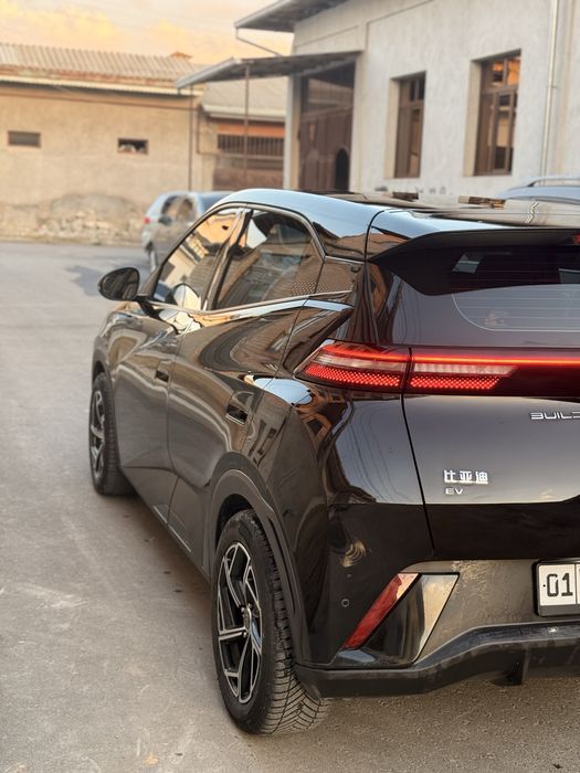 Srochnooo!! Byd Seagull sigul