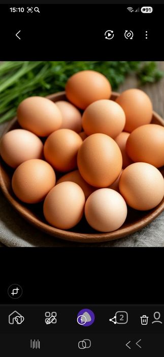 Инкубационные Яица