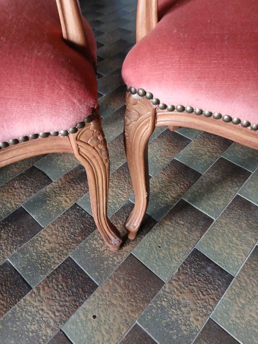 2 Fotolii pentru Camera