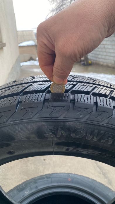 Зимный болон R17