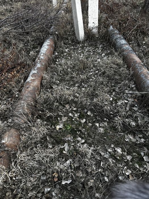 Фермерское хозяйство продаёт