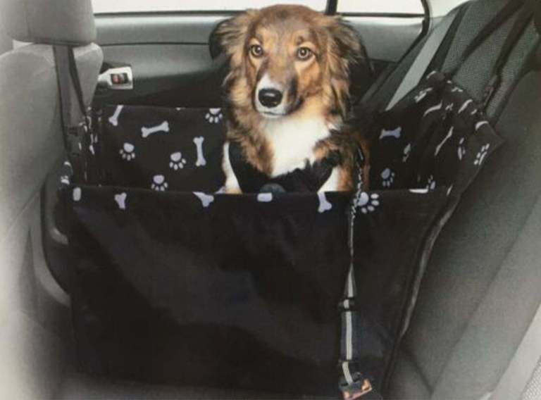 Zoofari husa protectie transport scaun masina auto caine animale pisic