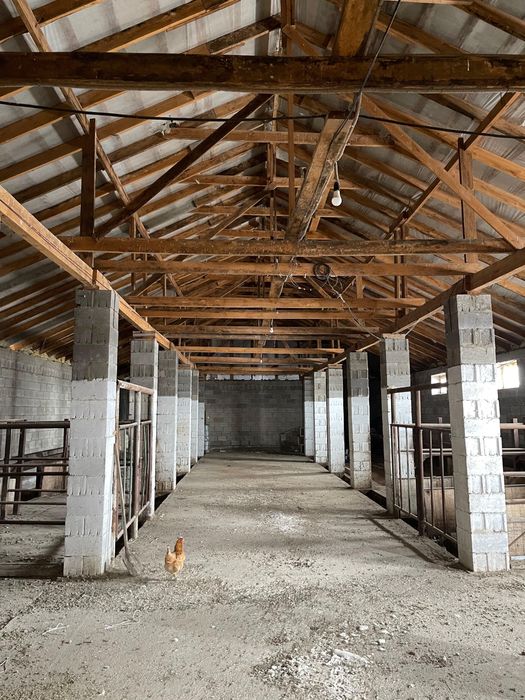 Продам дом и участок