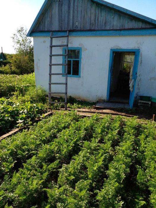 Приватизированная дача на СПП