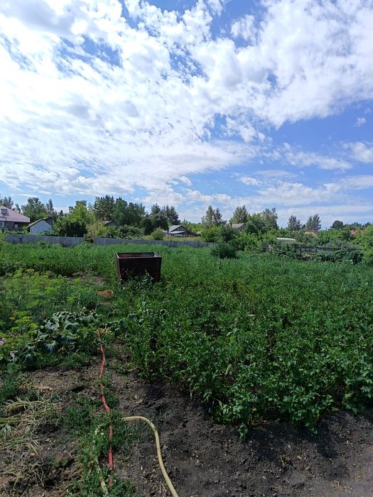Продам дом в г. ЕРЕЙМЕНТАУ.