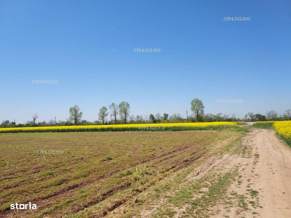Teren 500 mp aproape de Bucuresti | Construcție imediată
