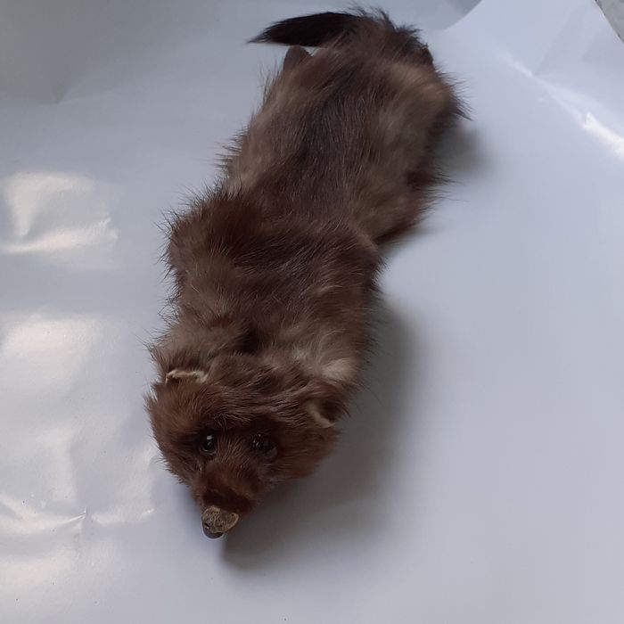 Топла яка за студени зимни дни