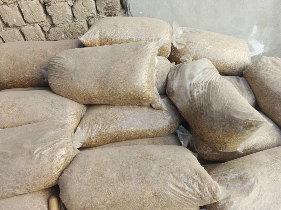 Silos 100 xalta bor hammasi 20 kilodan ziyot