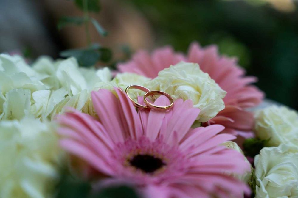 Фото и видео съёмка свадьбы, юбилеев, выписок, корпоративов!