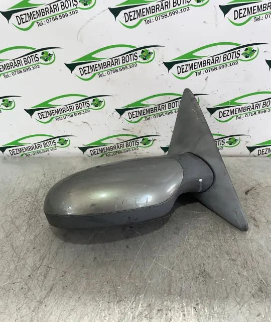 Oglinda dreapta PP818070F Renault Laguna 2001 1.9 DCi MT (107 hp)