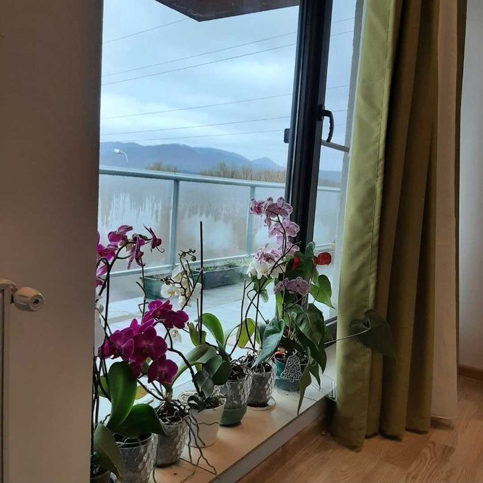Apartament 2 camere Ghimbav - de inchiriat