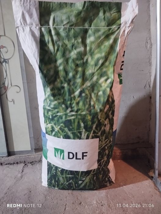 Газон для игровых площадок