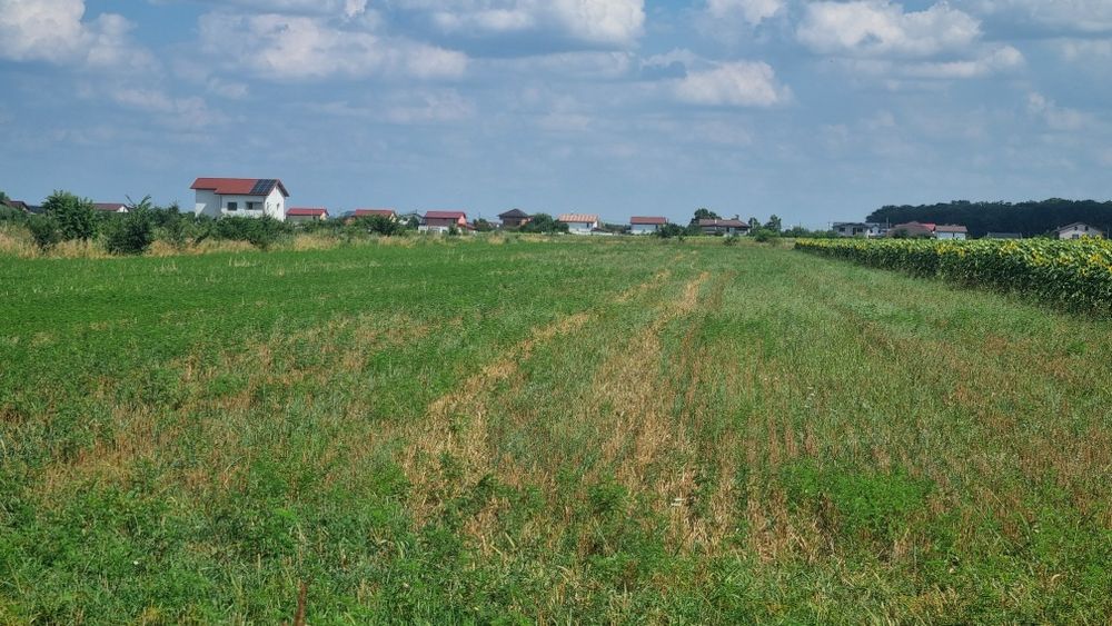 Vand teren Cosoba direct proprietar