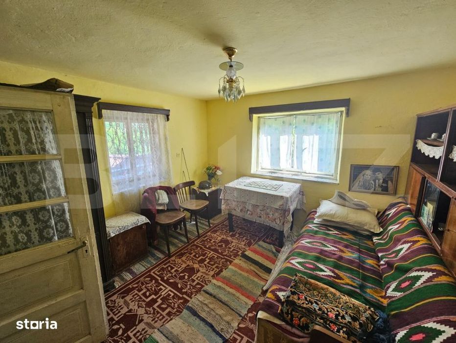 Casa traditionala - o investitie cu potential de dezvoltare, Capalna,