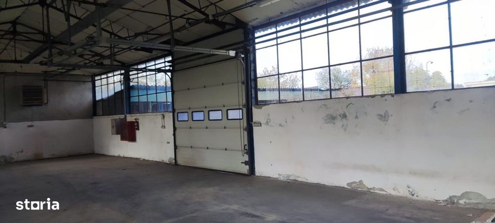Hale + platforma betonata mp Giurgiului ( Zetari )