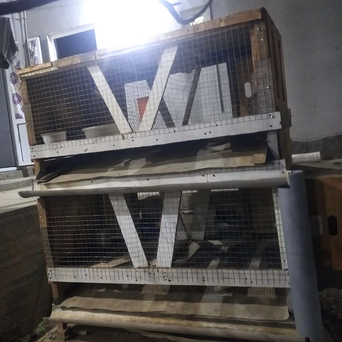 Клетка для кролик