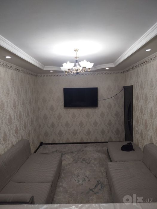 Алка тинчли
Алока куча чигатой