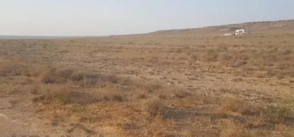 Жер орын мал шаруашылығына