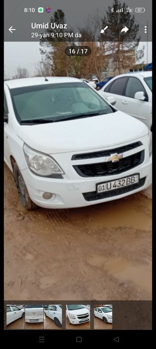 Cobolt 2018 yil 2 pozitsiya