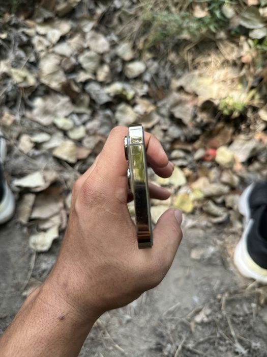 Iphone 13 pro ideal