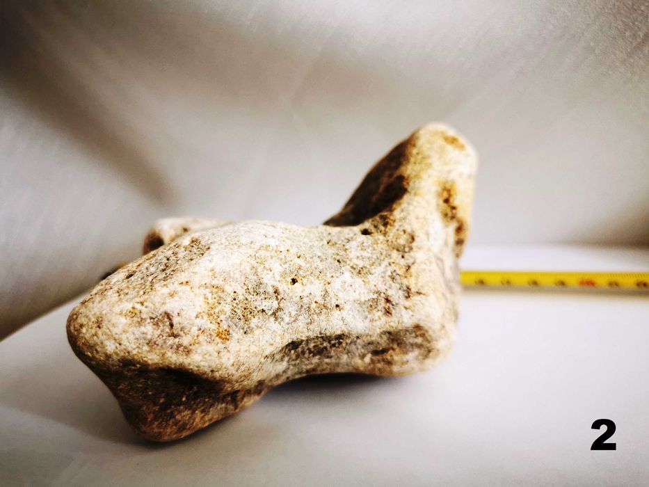 Ornamente naturale pentru terarii, acvarii, spatii int si ext