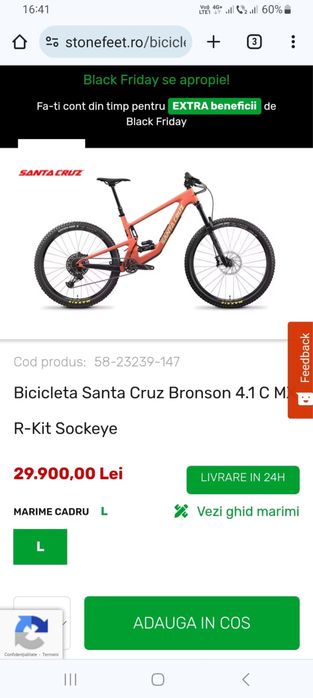Santa cruz bronson