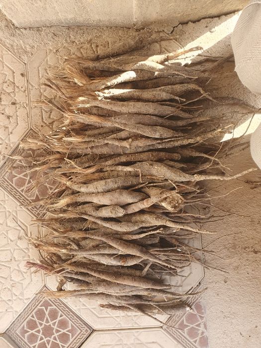 Kovrak kòchatlar sotiladi.