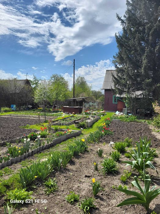 Продам дачу Аэропорт/остАрктическая