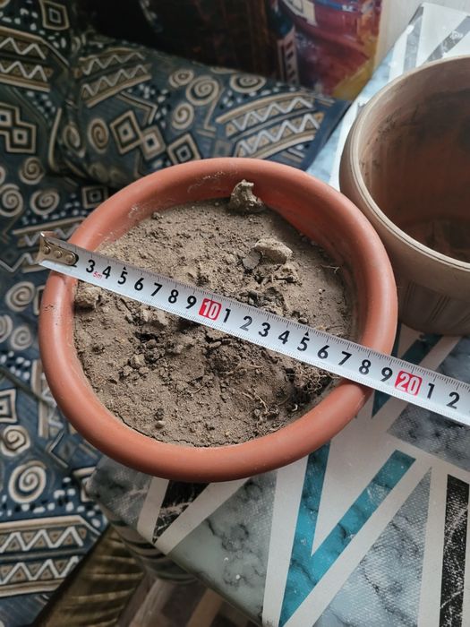 Цветочные горшки