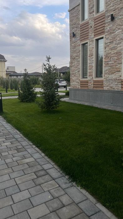 Газон и автополив