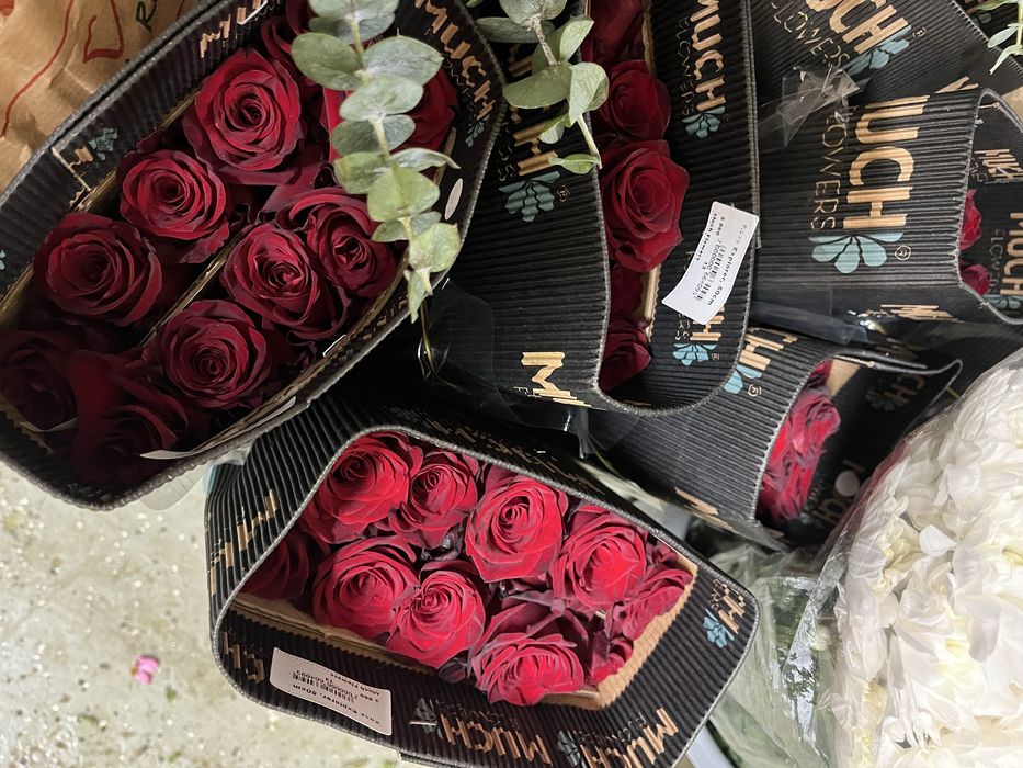 Красная роза 80 см - 700 тг