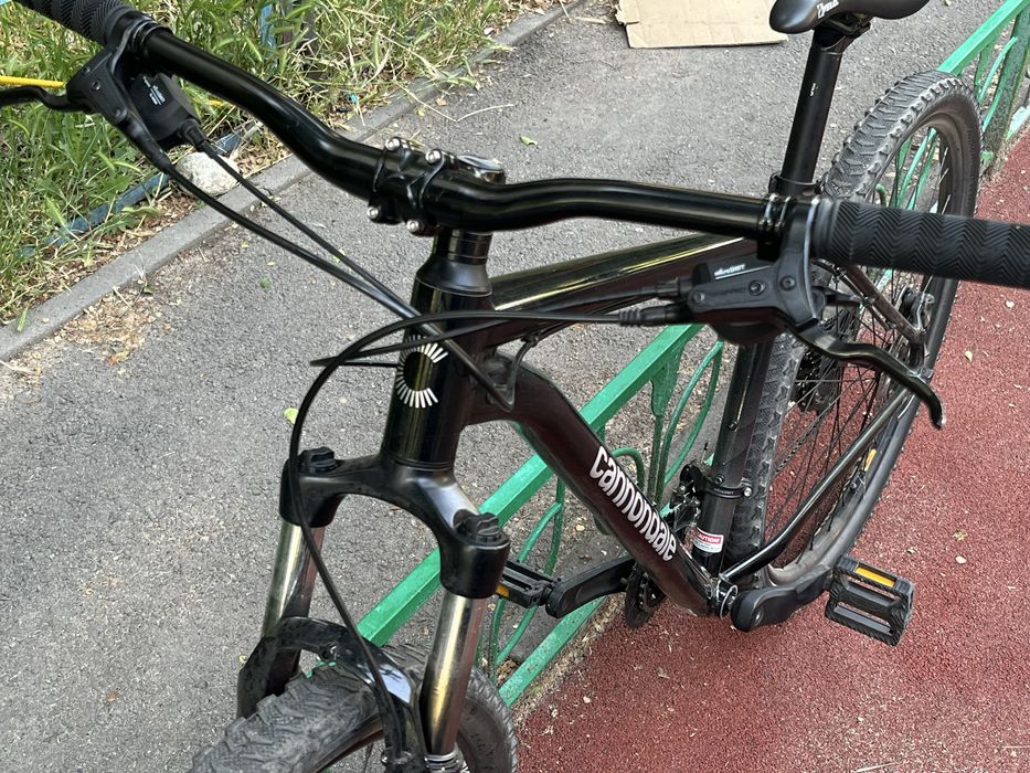 Cannondale trail 7 L