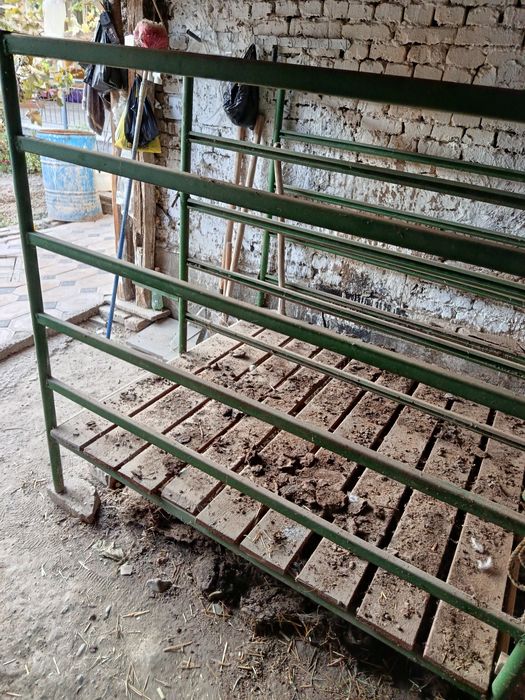 Qo'yxona 2 qo'yga moslashgan temirlarni mustaxkam  srochni sotiladi