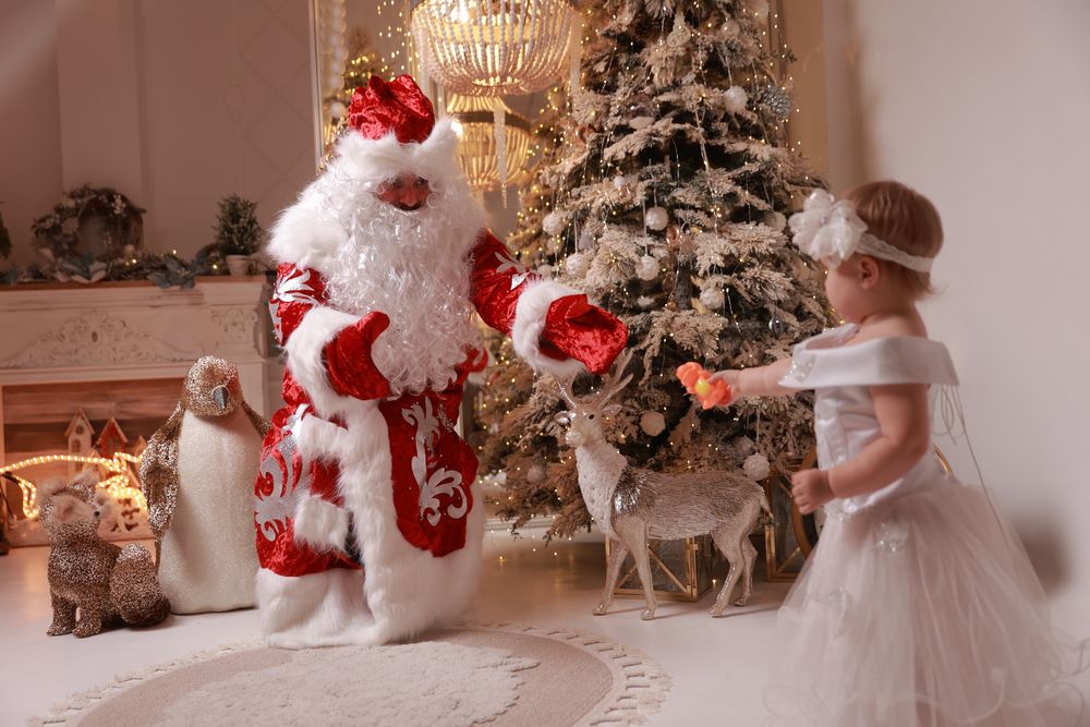 Дед Мороз и Снегурочка